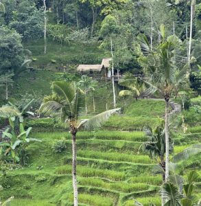Photos UBUD